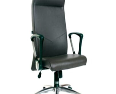 Kursi Direktur Savello Majesty HA