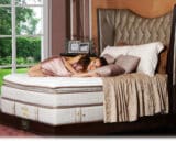 SPRINGBED THERASPINE SENSIBLE SPINE