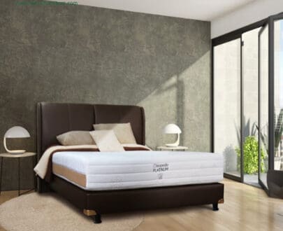 Springbed (Matras) Airland Chiropedic Platinum