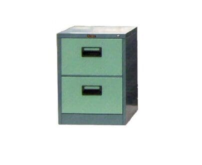 Lion 42