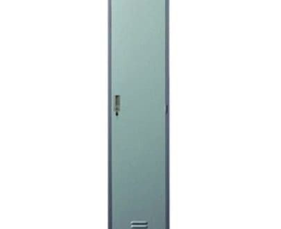 Lion 551