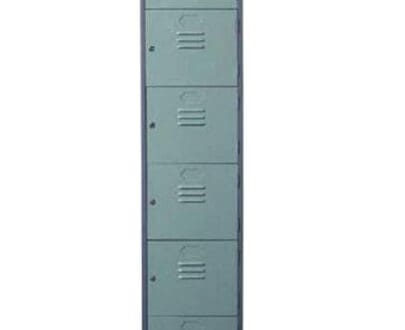 Lion 556