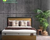 Springbed Dr. Spine Dreamline