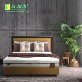 Springbed Dr. Spine Dreamline