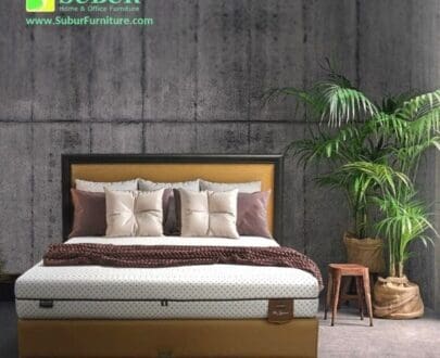 Springbed Dr. Spine Dreamline
