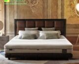 Springbed Serenade Dreamline