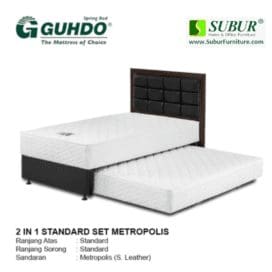 2 in 1 Standart Metropolis