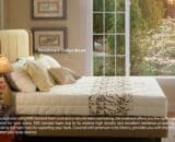 Springbed QuantumType Latex Orthopedic