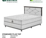 Standard Plus Top Paris