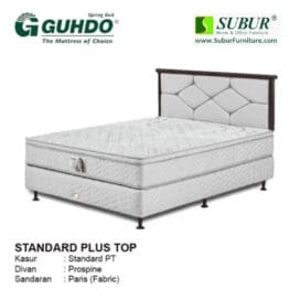 Standard Plus Top Paris