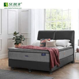 Springbed Chiro Sleep Sleep & Dream
