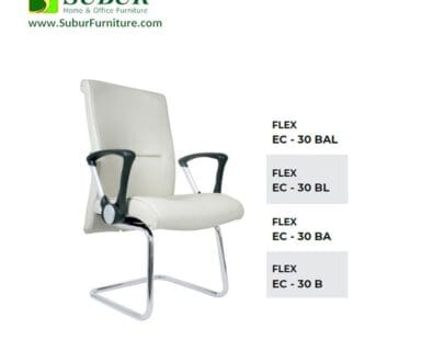 Flex EC 30