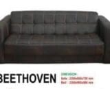 Hana Sofa Bed type Beethoven