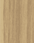 Warna coklat muda