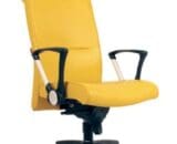 Flex EC 20 L Kursi Kantor Chairman