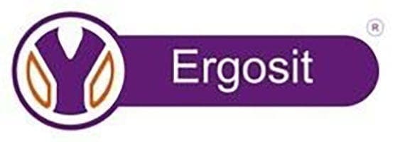 logo ergosit