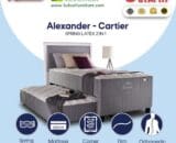 2 in 1 Alexander