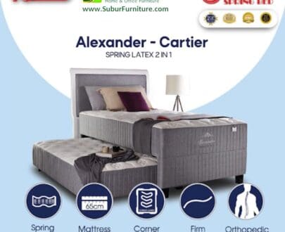 2 in 1 Alexander