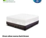 Divan Spring Air Type Ethan