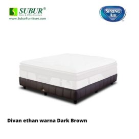 Divan Spring Air Type Ethan 