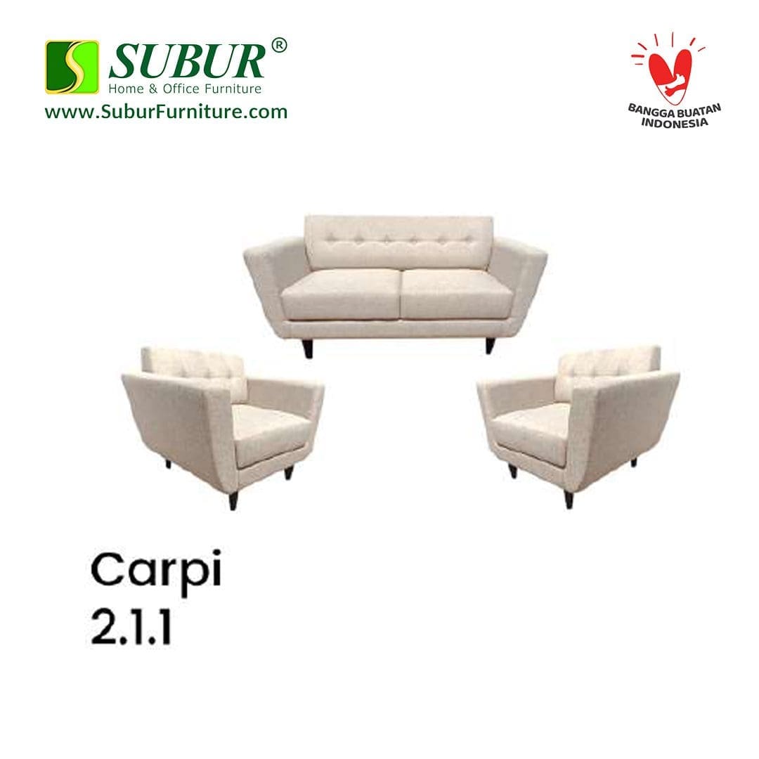 neo design tipe carpi