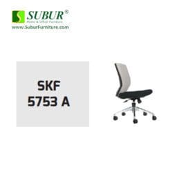 SKF 5753 A