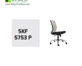 SKF 5753 P