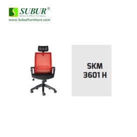 SKM 3601 H