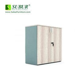 BSTS-01010-8012