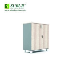 BSTS-01012-8012