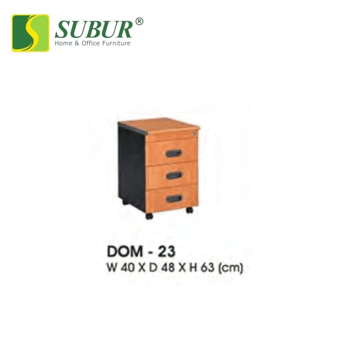 DOM 23