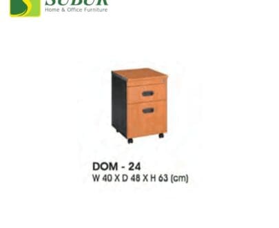 DOM 24