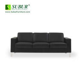 SF03013