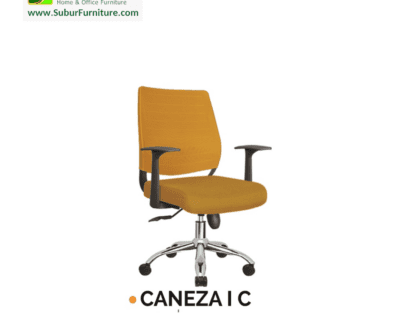 CANEZA I C
