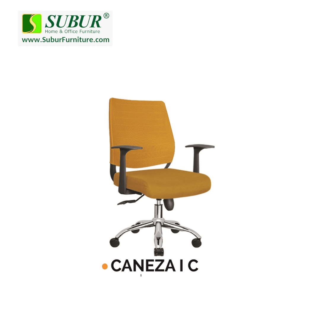 CANEZA I C
