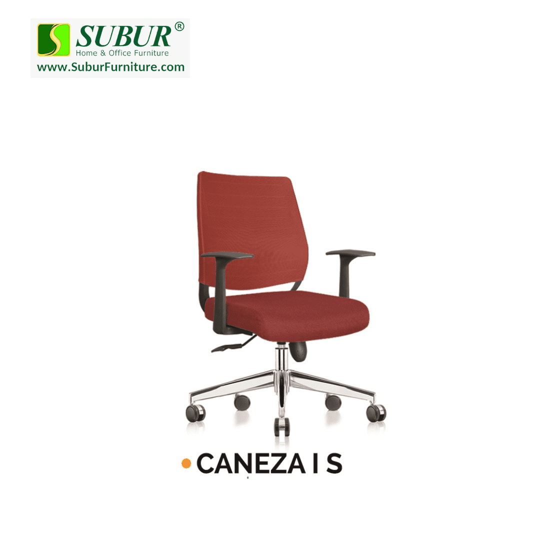 CANEZA I S