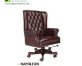 Napoleon