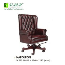 Napoleon