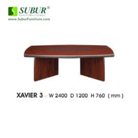 Xavier 3