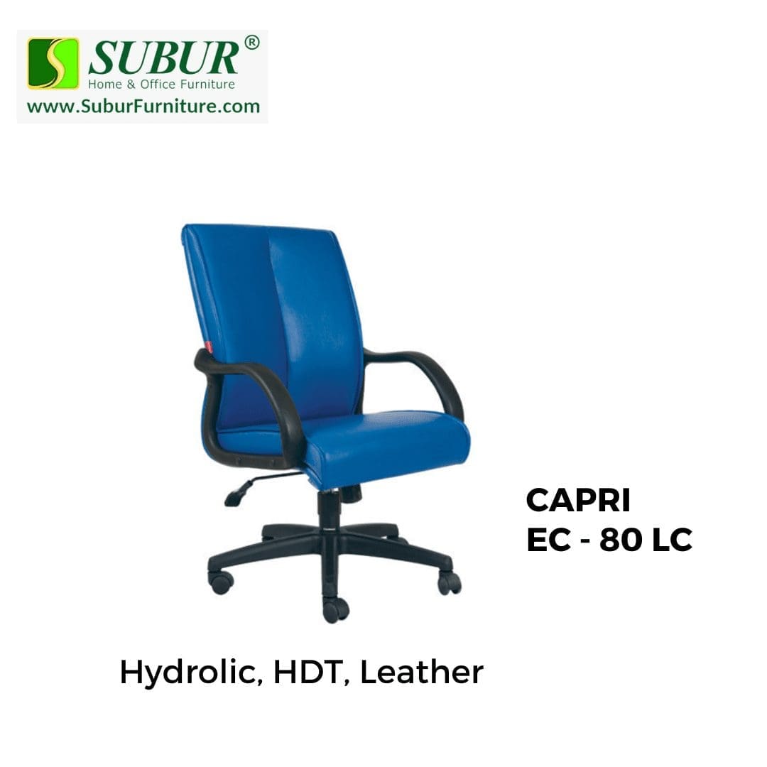 CAPRI EC - 80 LC