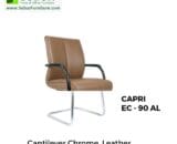 CAPRI EC - 90 AL