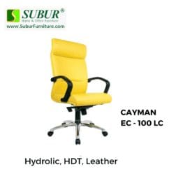 CAYMAN EC - 100 LC