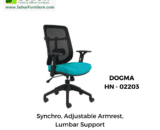 DOGMA HN - 02203