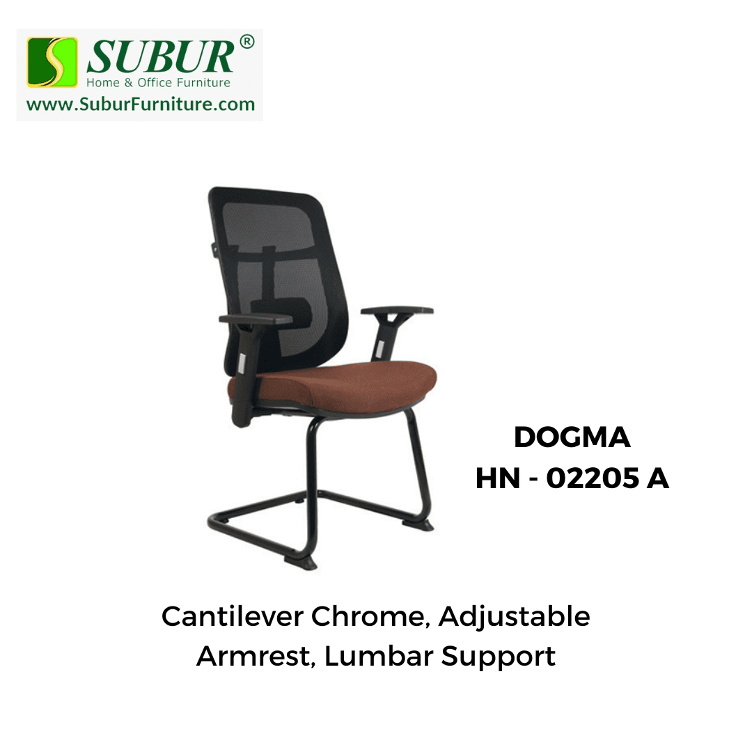 DOGMA HN - 02205 A