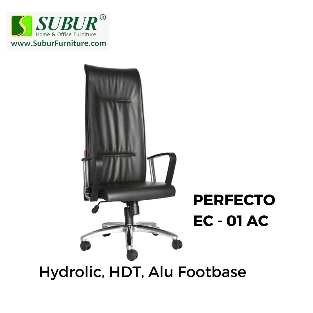 PERFECTO EC - 01 AC