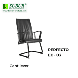 PERFECTO EC - 03