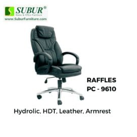 RAFFLES PC - 9610