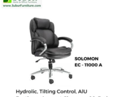 Solomon EC - 11000 A
