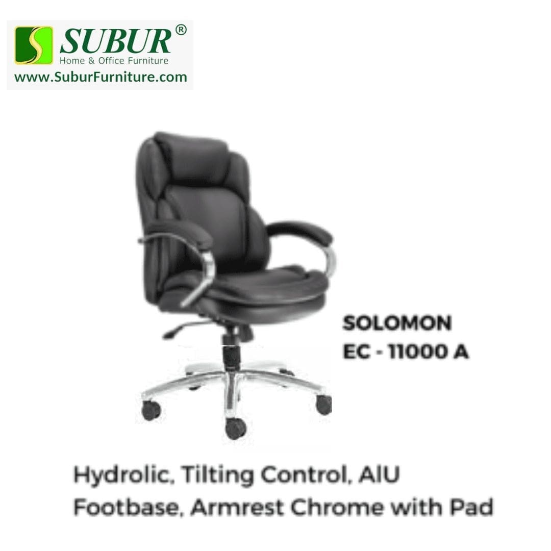Solomon EC - 11000 A