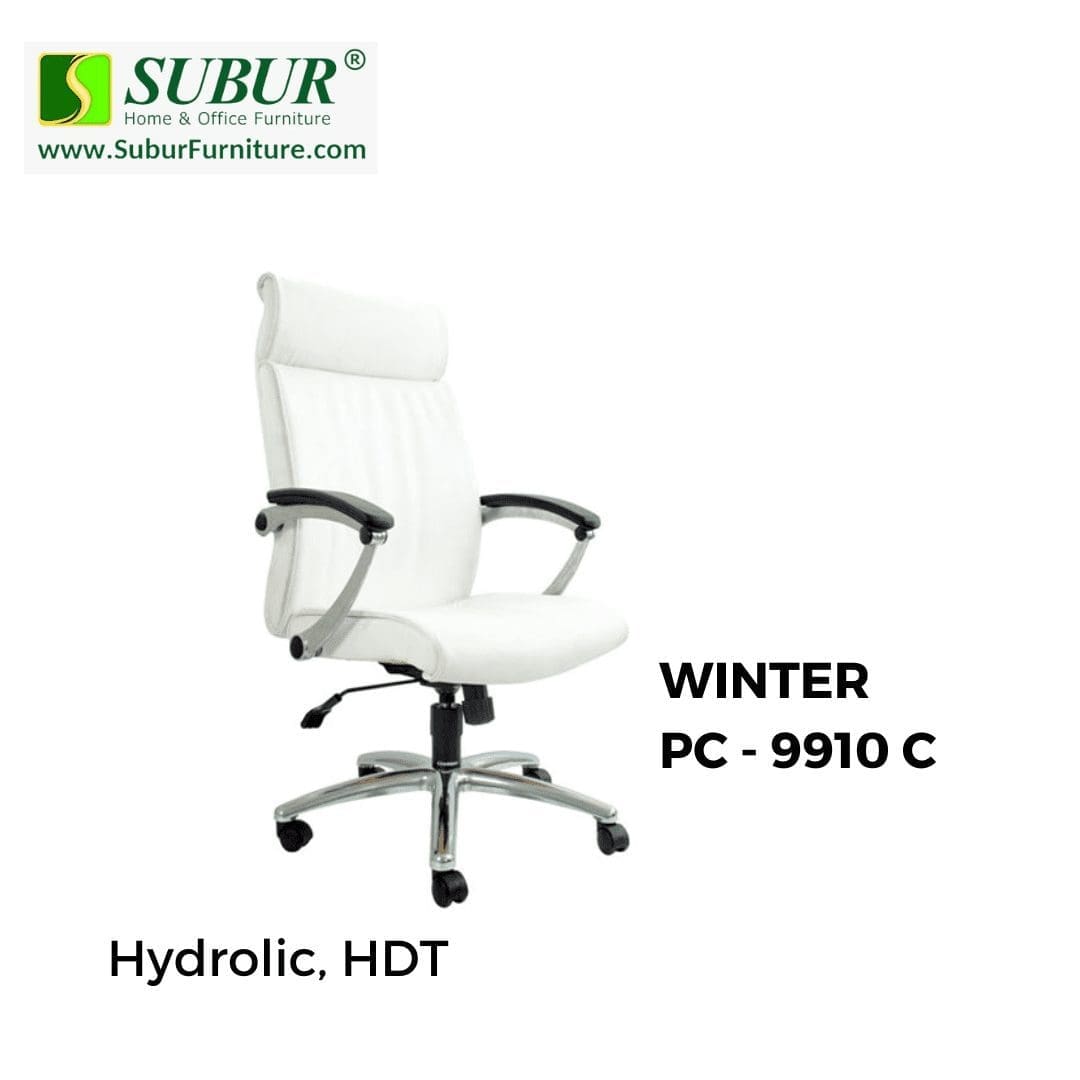 WINTER PC - 9910 C